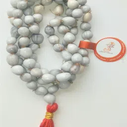 Original Vaijanti Mala Without Rudraksha for Japa Puja and Neck Wearing, 100% Pure 108+1 Nos Vaijayanti Beads Size 7-8 mm, Color Off White, Un-Knotted Rosary for Men and Women Wood Chain-image-31