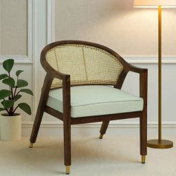 woodsworth from pepperfry Marz Sheesham Wood Arm chair In Scratch Resistant Provincial Teak Finish-picture-2