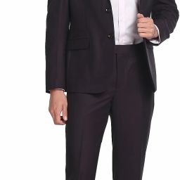 Men Self Design Dobby Two Piece Suit Self Design Suit-image-109