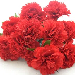 12stickbunch2214 Multicolor Carnations Artificial Flower-image-20