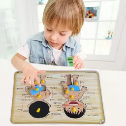Learning Wooden Human Parts Of Body Name Puzzle with Picture Board with knobs-3