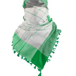 Checkered Cotton Blend Men Green, White Scarf-image-54
