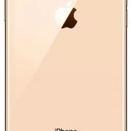 DKS IPHONE xs max Back Panel-1