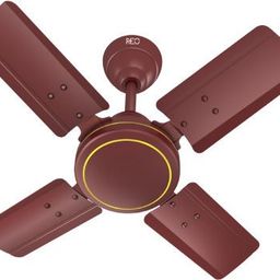 HAVELLS REO CELING FAN 1 Star 600 4 Blade Ceiling Fan-picture-37