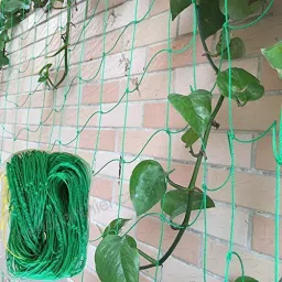 world net enterprise Plant Support Net and Gardening Netting Green Colour 5Feet x 15 Feet Hiking Net image 4