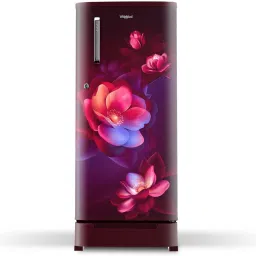184 L Direct Cool Single Door 2 Star Refrigerator with Base Drawer-picture-14