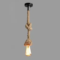 Pendants Ceiling Lamp-picture-26