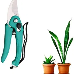 8279598705 Garden Tool Kit-image-53