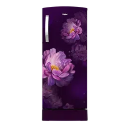 Whirlpool IMPRO 192 Litres 3 Star Direct Cool Single Door Refrigerator with Stabilizer Free Operation (215 IMPRO ROY, Purple)-image-51