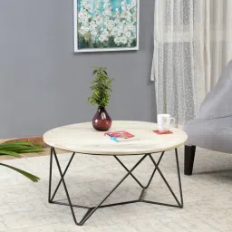 bohemiana from pepperfry Kahn Metal Coffee Table-picture-41