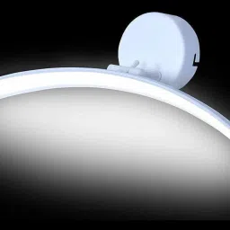 Wallchiere Wall Lamp With Bulb-image-95
