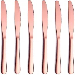 Stainless Steel Fruit Knife, Butter Spreader, Bread Knife, Cheese Knife, Table Knife Set-image-14