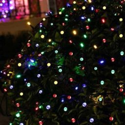 40 LEDs 11 m Multicolor Steady String Rice Lights-image-82