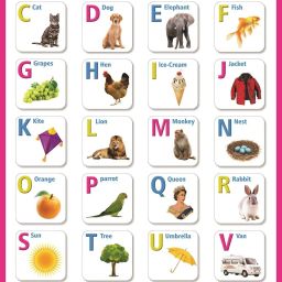 ABCD Kids Early Educational Poster | Learning Posters | HD+ Poster Photographic Paper-image-88