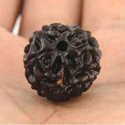Natural lab certified Ek mukhi rudraksha GOL DANA bead in silver locket. Wood Pendant-image-26