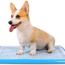 Puppy Pee Pad Holder, Plastic Dog Pet Potty Dog, Cat Pet Mat-21