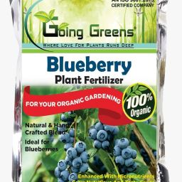 Blueberry Plant Fertilizer I Fertilizer-image-50