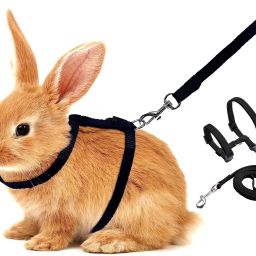 Cat Harness Leash Nylon Set for Cat Rabbit Kitten BODYBELT Strap Training Lead Cat Harness & Leash-image-16