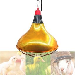 Infrared Heating Bulb/Brooding Lamp (For Piglets and Chicks) 250W Hanging Lights (Pendant Lights) Lamp Shade-image-100