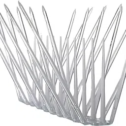 Bird Spike-5
