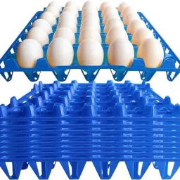 Egg holder Egg Holder-image-28