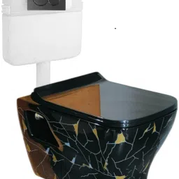 Wall Mounted P Trap Commode With Soft Seat Cover Cistern Flushing Concealed With Black Flush Plate - 10 L (HT) Western Commode-24