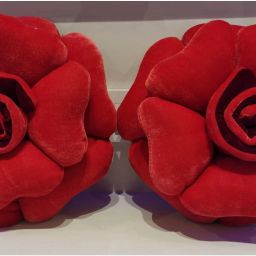 Microfibre Floral Cushion Pack of 2-image-32
