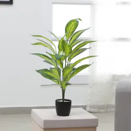 Polyester Dieffenbachia Artificial Plant Without Pot by Arick Decor-picture-36