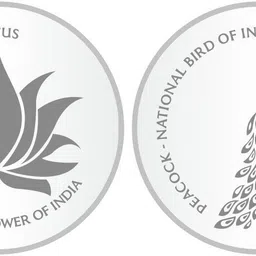 sikkawala SK2SCF10-LP S 999 20 g Silver Coin-picture-14