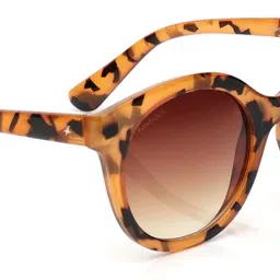 UV Protection Cat-eye Sunglasses (53)-image-33