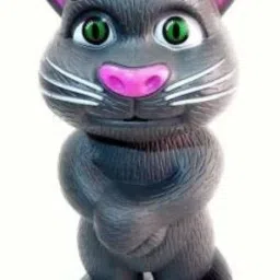 Intelligent Talking Tom Cat With Wonderful Voice (21 cm height) (Multicolor)-10