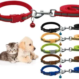Set of 2 Nylon Leash with Collar Set for Puppy-Small -1.5 cm (Blue-Red) 121 cm Dog & Cat Strap Leash-5