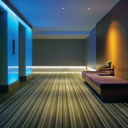 PHILIPS WiZ Smart Color Changing, Dimmable, Wi-Fi 2 - Meter LED Light Strip image 3
