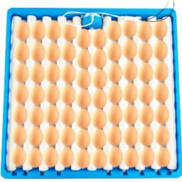 Poultry farm hatching equipment ac 220V motor 70 egg tray Egg Incubator-image-35