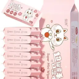 Mini Baby Wipes Disposable Portable Pocket Water Wipes Wipe Warmer Wipe Warmer-picture-29
