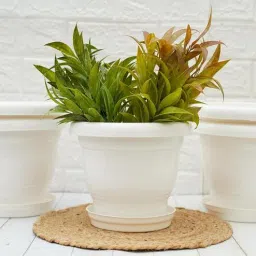 gold dust White Plastic (Set of 5) Desk Pots-picture-20
