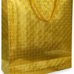 Printed Party Bag-image-34