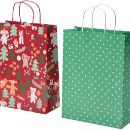 Printed Party Bag-21
