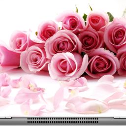 imbue valentines day rose Digital quality vinyl Laptop Decal 15.6-image-36