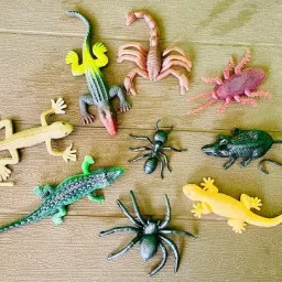 toys for kids crocodile,lizard,ant,spider,cockroach,and rat-image-26