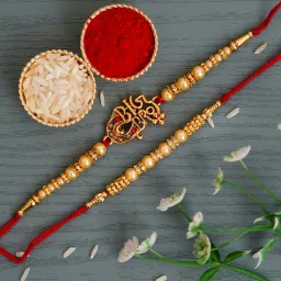Designer D1171 Assorted Rakhi Set-21