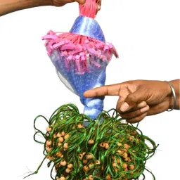 25mm half finger gillnet,hight 4ft,up lenth 50ft,down lenth 80ft(Malai Suto) Fishing Net-image-33