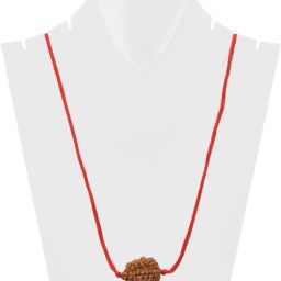 astrodidi 2 Mukhi Rudraksha Two Face Pendant With Lab Report Original Wood Pendant image 2