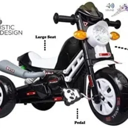 tricycle Bike Non Battery Operated Ride On-22