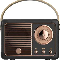TECH-LOBBY Vintage Shape 5 W Bluetooth Home Audio Speaker-9