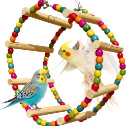 25X13cm Colourful Giant Round Swing Wheel Cage Toy for Wooden Chew Toy, Training Aid For Bird-image-50