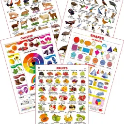 Set of 5 Educational Large Wall Charts : ( Domestic Animals , Birds , Colours , Shapes & Fruits )-image-7