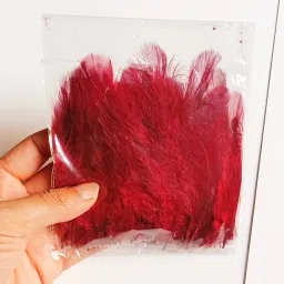 Pack of 100 Decorative Feathers-44