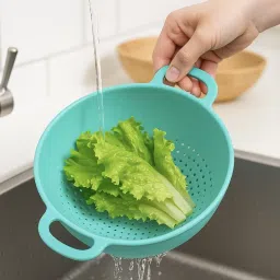 Strainer-picture-24