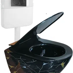 Wall Mounted P Trap Commode With Soft Seat Cover Cistern Flushing Concealed With Chrome Flush Plate - 10 L ST Western Commode-10